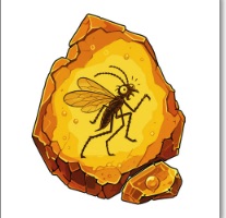 File:Amber-shards.jpg