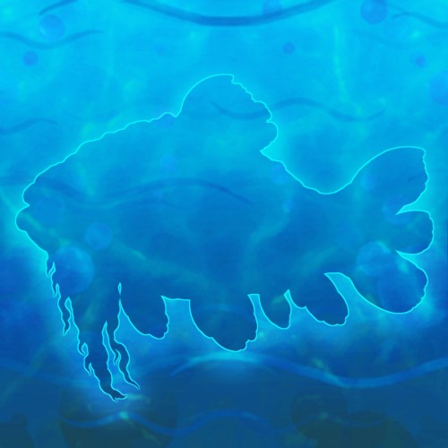File:Living Fossil Fish.jpg
