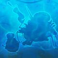 Thumbnail for version as of 09:18, 16 August 2026