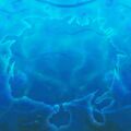 Thumbnail for version as of 08:18, 1 July 2025