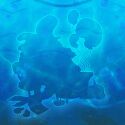 Seapressed.jpg