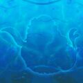 Thumbnail for version as of 07:37, 1 July 2025