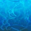 Thumbnail for version as of 07:37, 1 July 2025