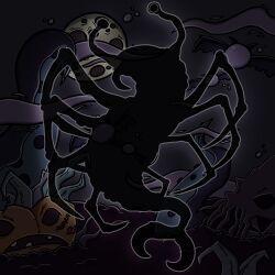 Shark-leng-spider.jpg