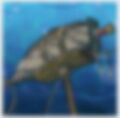 Thumbnail for version as of 22:42, 28 June 2024
