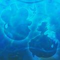 Thumbnail for version as of 14:04, 27 June 2024