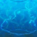 Thumbnail for version as of 07:50, 1 July 2025