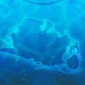 Thumbnail for version as of 09:18, 16 August 2026