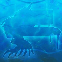 Betta.jpg