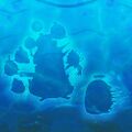 Thumbnail for version as of 09:18, 16 August 2026