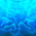 Thumbnail for version as of 19:03, 19 March 2021