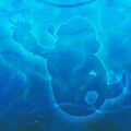 Thumbnail for version as of 13:58, 27 June 2024