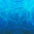 Thumbnail for version as of 05:57, 27 June 2025