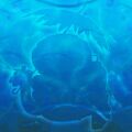Thumbnail for version as of 08:13, 1 July 2025