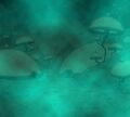 Thumbnail for version as of 12:43, 26 June 2024