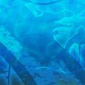 Thumbnail for version as of 06:27, 27 June 2025