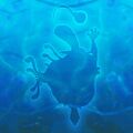 Thumbnail for version as of 07:21, 27 June 2025