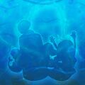 Thumbnail for version as of 09:47, 27 June 2025