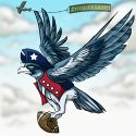 Patriotic-seabird revealed.jpg