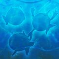 Thumbnail for version as of 13:41, 27 June 2024
