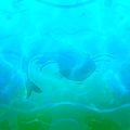 Thumbnail for version as of 19:03, 19 March 2021