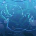 Thumbnail for version as of 02:47, 7 July 2025