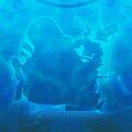 Thumbnail for version as of 10:17, 27 June 2025