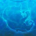 Thumbnail for version as of 14:05, 27 June 2024
