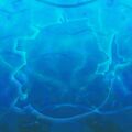 Thumbnail for version as of 08:05, 1 July 2025