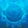 Thumbnail for version as of 09:18, 16 August 2026