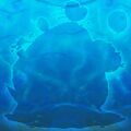 Thumbnail for version as of 09:08, 2 July 2025