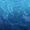 Thumbnail for version as of 08:57, 4 July 2025