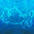 Thumbnail for version as of 10:12, 27 June 2025