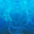 Thumbnail for version as of 07:27, 1 July 2025