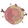 PP2-pumpkin-soul-seed.jpg